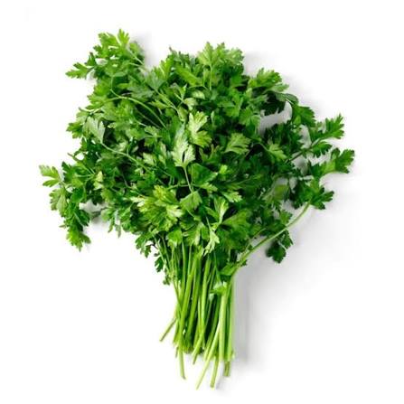 Parsley Flat 100+ Seeds