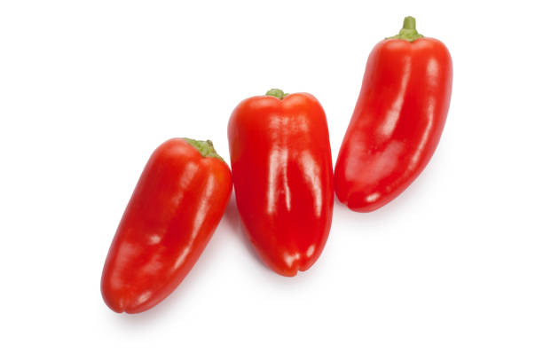 Peminto Peppers 10+ Seeds
