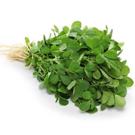 Methray 100+ Seeds