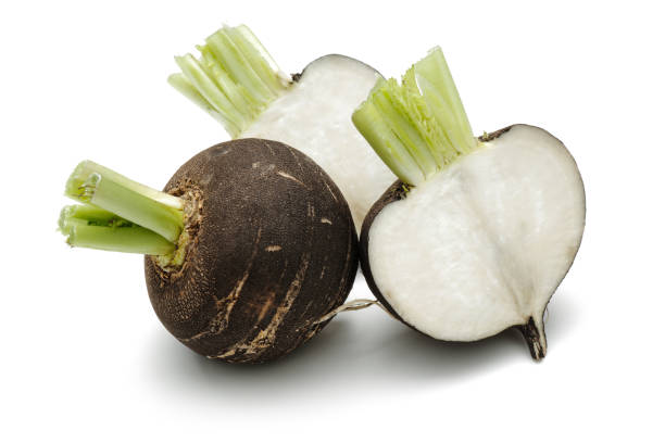 Black Radish 30+ Seeds