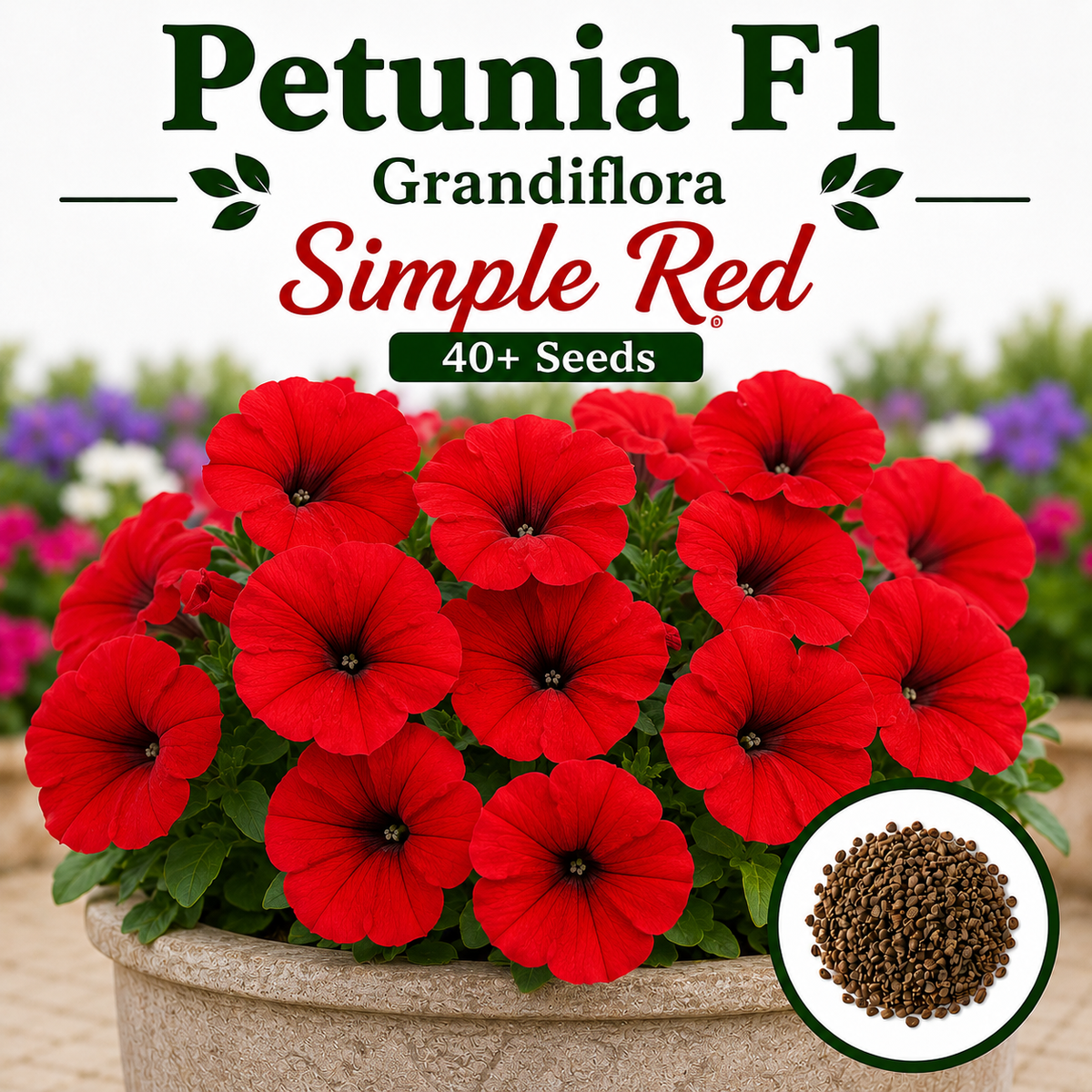 F1 Petunia Grandiflora simple Red 40+ Seeds