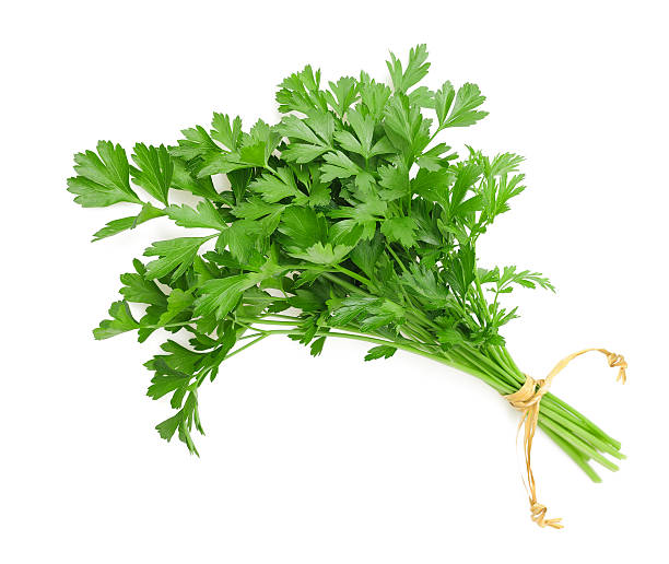 F1 Hybrid coriander 300+ Seeds