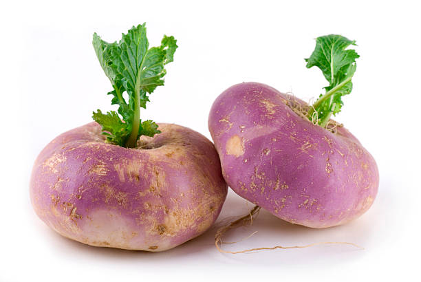 Turnip 500+ Seeds