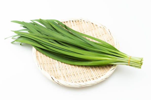 Garlic Chives 20+ Seeds