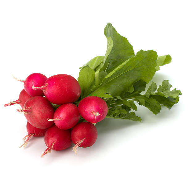 Red Radish 50+ Seeds