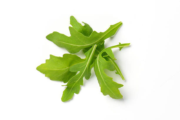 Rocket Salad (Taramira Saag) 500+ Seeds