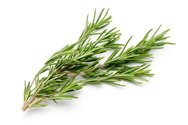 Rosemary 20+ Seeds