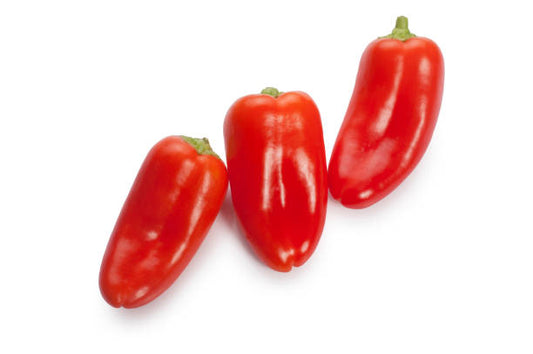 Peminto Peppers 10+ Seeds