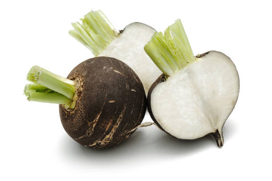 Black Radish 30+ Seeds