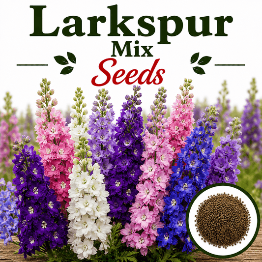 Larkspur Mix  25+ Seeds