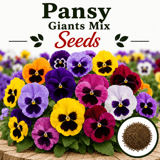 Pensy Giants Mix