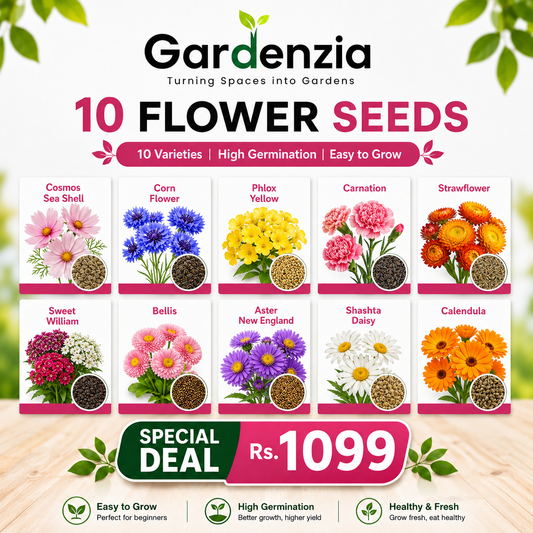 10 Premium Flowers Seeds Combo Pack
