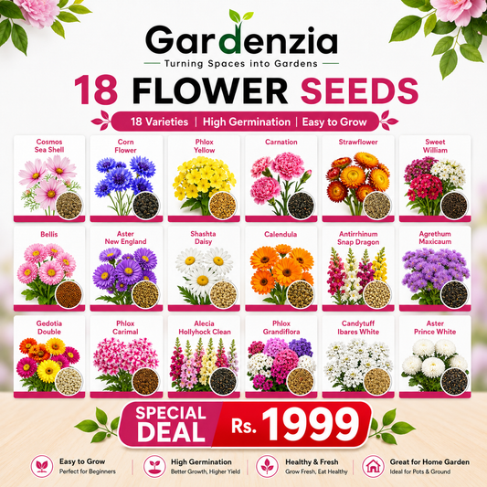 18 Premium Flowers Seeds Combo Pack