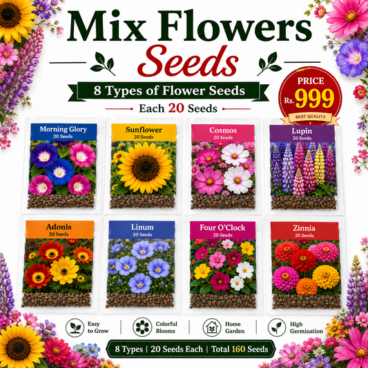 Mix Flowers Seeds (All Season)