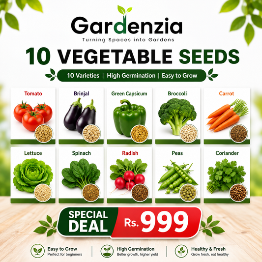 10 Premium Vegetable Seeds Combo Pack