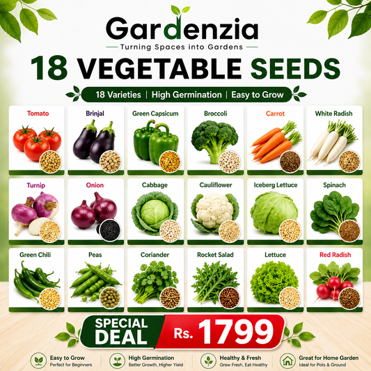 18 Premium Vegetable Seeds Combo Pack
