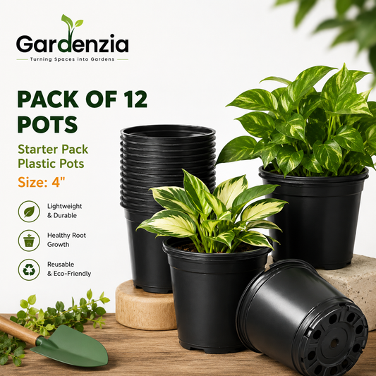 Black Plastic Pots (4 Inches)