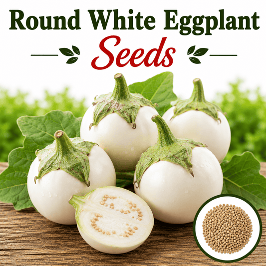 Eggplant Round 20 Seeds