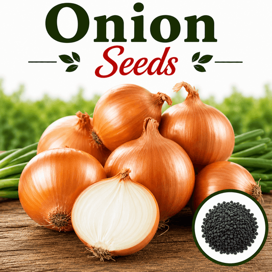 Desi Onion Seeds