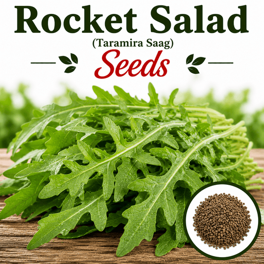 Rocket Salad (Taramira Saag) 500+ Seeds