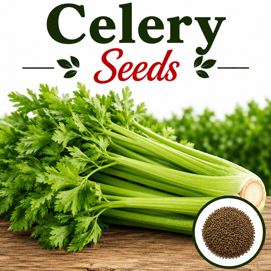 celery 100+ Seeds
