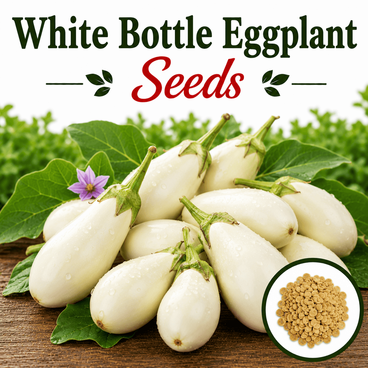 F1 Hybrid Bottle Eggplant 15 Seeds