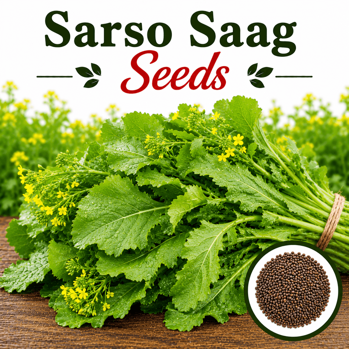 Sarso Saag 500+ Seeds