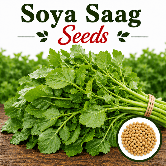 Soya Saag 500+ Seeds