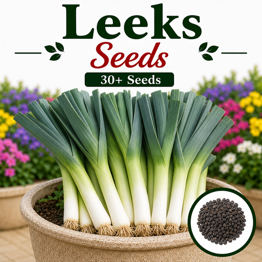Leeks 30+ Seeds