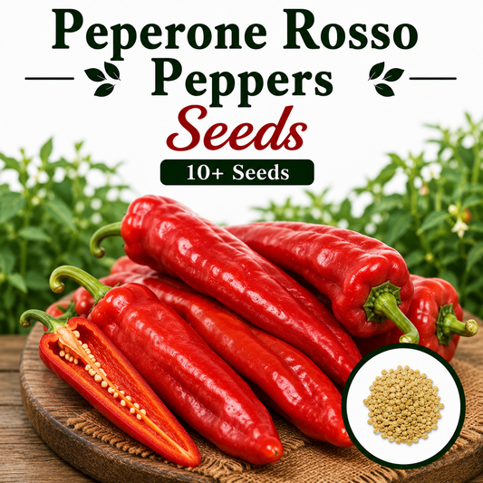 Peperone Rosso  Peppers 10+ Seeds