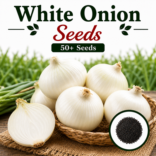 White Onion 50+ Seeds