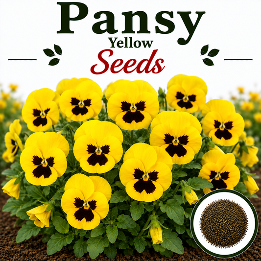 Pensy Yellow 15+ Seeds (1030)