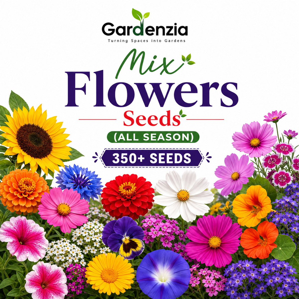 Mix Flowers Seeds (All Season)