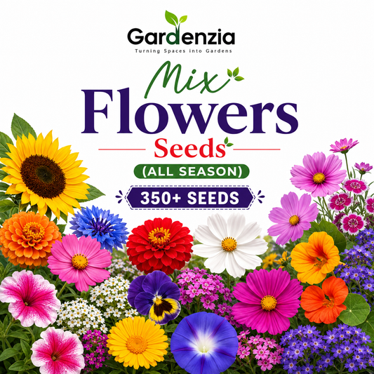 Mix Flowers Seeds (All Season)