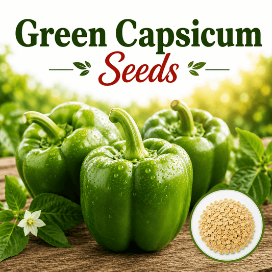 Green Capsicum 15 Seeds