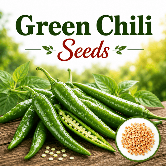 F1 Hybrid Green Chili 15+ Seeds