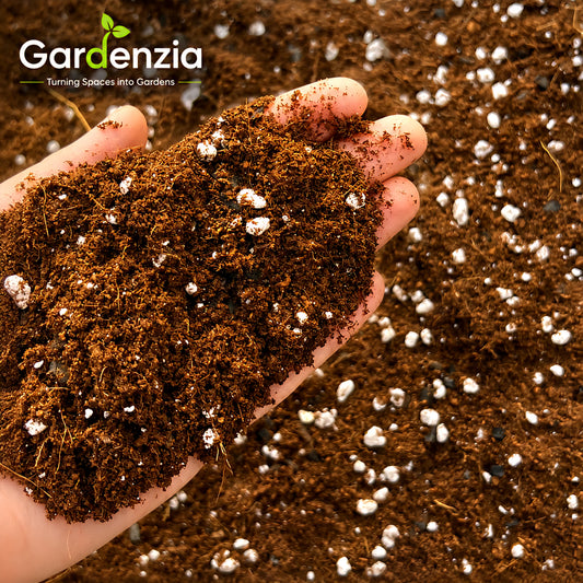Potting Mix 1kg