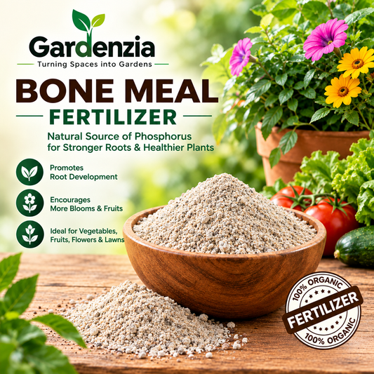 Organic Bone Meal for Strong Root Development, Flowering & Fruit Growth in Home Gardening