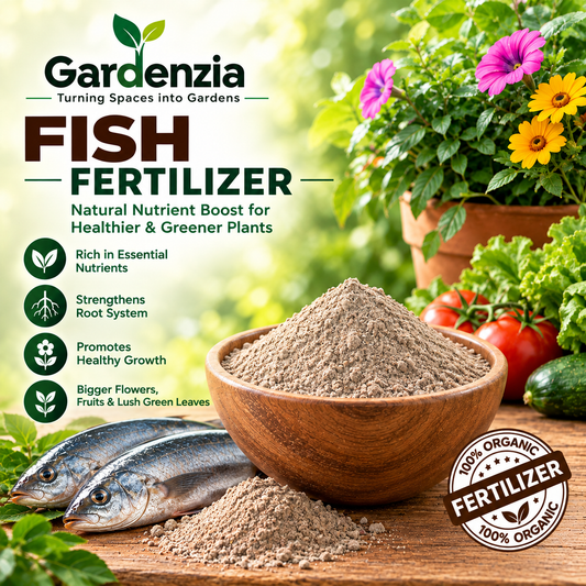 Fish Fertilizer Organic Plant Food for Vigorous Growth, Healthy Roots & Home Gardening