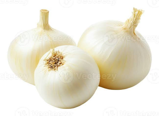 White Onion 50+ Seeds