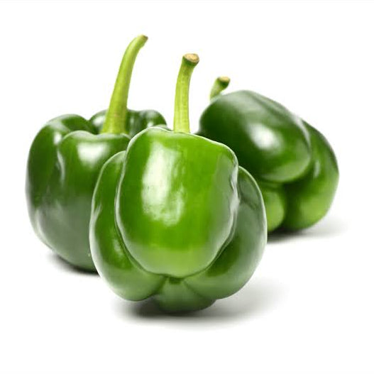 Green Capsicum 15 Seeds