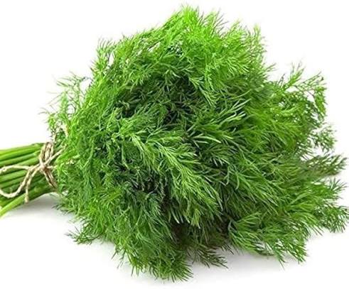 Soya Saag 500+ Seeds