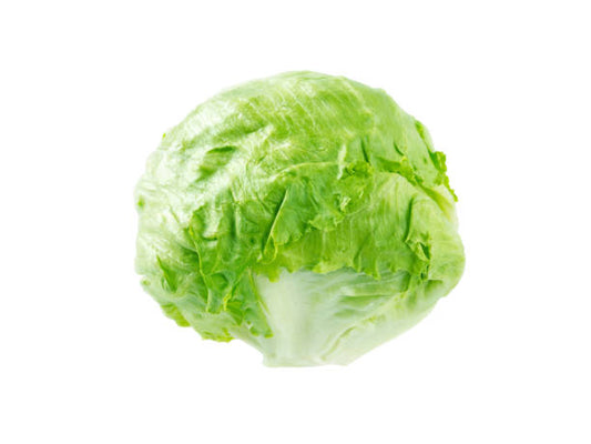 Iceberg 50+ Seeds