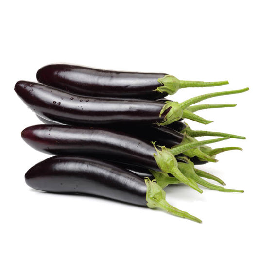 F1 Hybrid Long Brinjal 20 Seeds