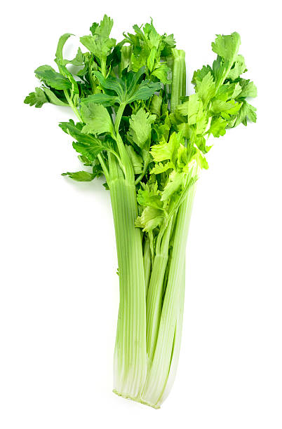 celery 100+ Seeds