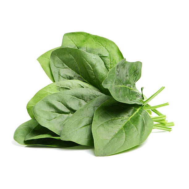 Spinach 300+ Seeds