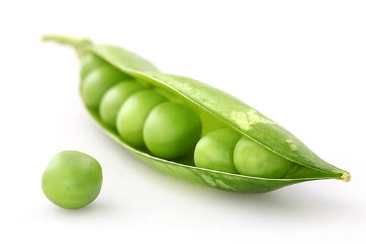 Green Peas 40+ Seeds