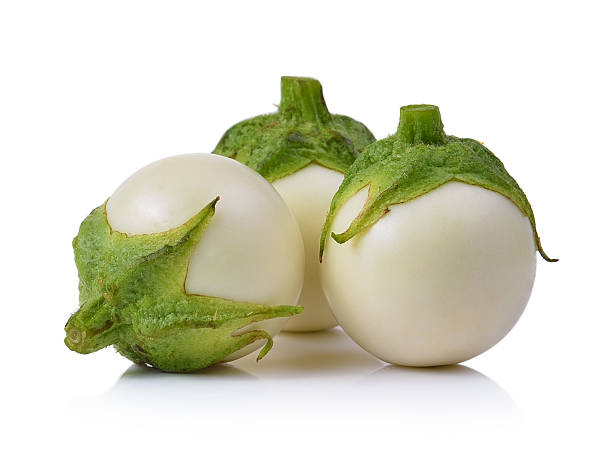 Eggplant Round 20 Seeds