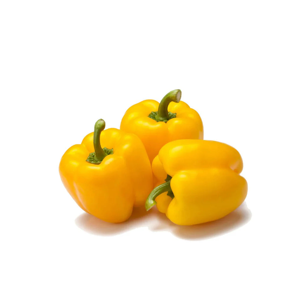 Yellow Capsicum 10 Seeds